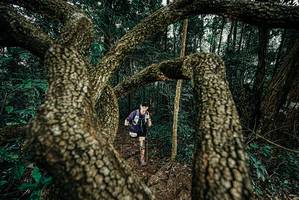 BIB: 
                            <button type="button" onclick="openModal(25702990)" class="btn btn-primary btn-sm float-right btn-popup" data-toggle="modal" data-target=".modal-high-quality">
                        <i class="fas fa-shopping-cart"></i> Add to Cart
                    </button>
                                            <button type="button" onclick="isThisMe(25702990, true)" class="btn btn-success btn-sm float-right btn-popup btn-isme hidden" data-toggle="tooltip" data-placement="bottom" title="นี่คือรูปของคุณใช่ไหม คลิกที่นี่เพื่อเอาเข้าอัลบั้ม">
                        <i class="fas fa-plus"></i> Add to album
                    </button>
                    <button type="button" onclick="isThisMe(25702990, false)" class="btn btn-warning btn-sm float-right btn-popup btn-isnotme hidden">
                        <i class="fas fa-ban"></i> Remove from album
                    </button>